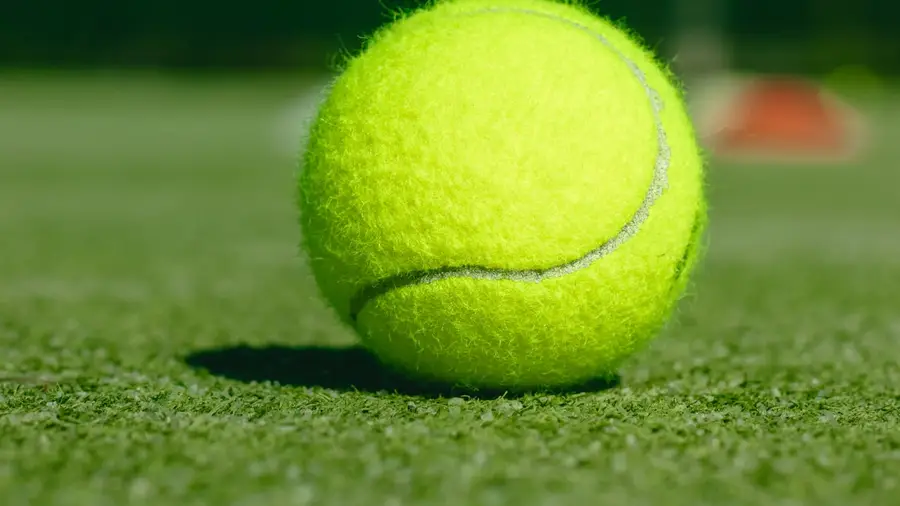 Fritz vs Draper Wimbledon 2026 odds, prediction & picks