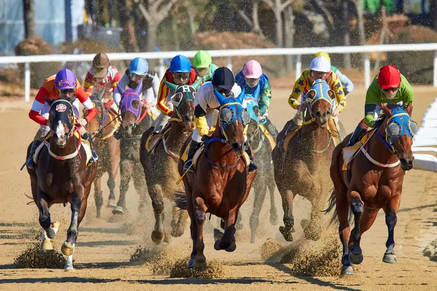Renegade leads 2026 Belmont Stakes odds at Saratoga
