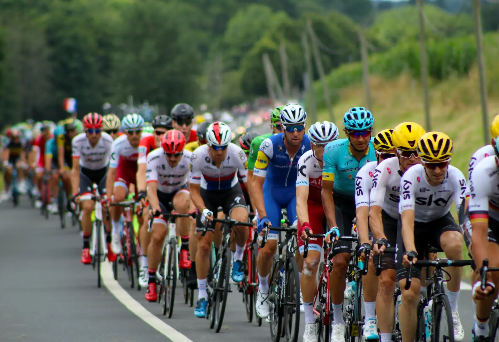 Tour de France 2026 odds: Pogačar favourite, predictions