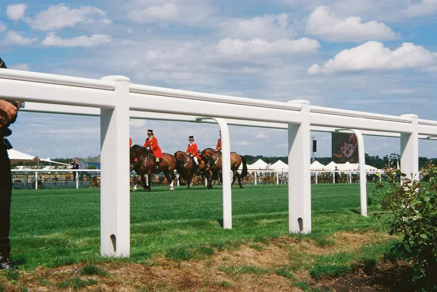 Goodwood Cup 2026 odds, prediction & picks: Scandinavia 5/6